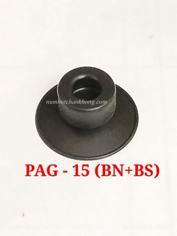 PAG-15-BN